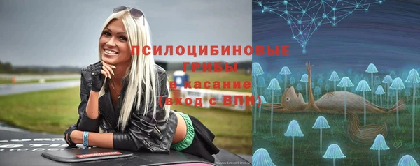 ПСИЛОЦИБИНОВЫЕ ГРИБЫ Арсеньев