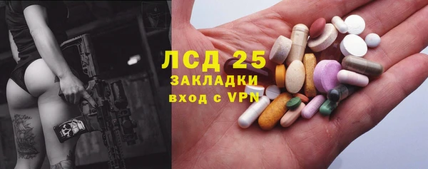 ПСИЛОЦИБИНОВЫЕ ГРИБЫ Арсеньев
