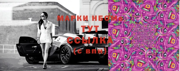 ПСИЛОЦИБИНОВЫЕ ГРИБЫ Арсеньев