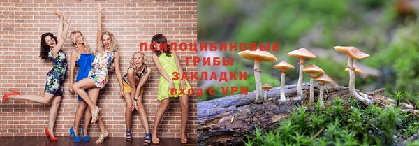 круглые Аркадак