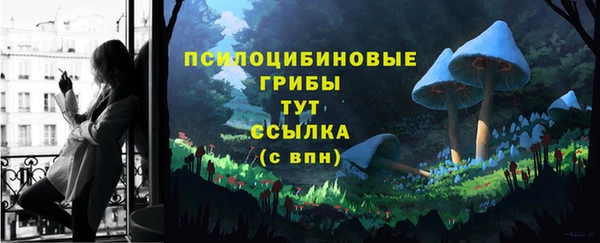 круглые Аркадак