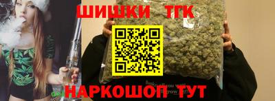 индика Обь